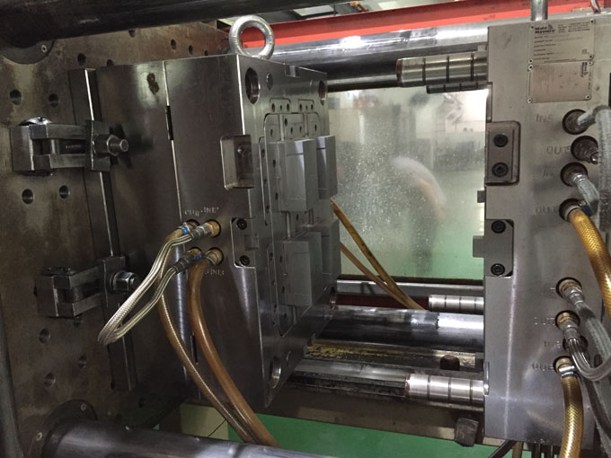 Mold test